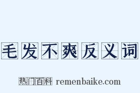 毛发不爽反义词是什么意思的图片